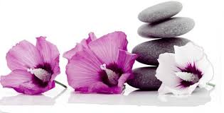 Ontharen van de Borst